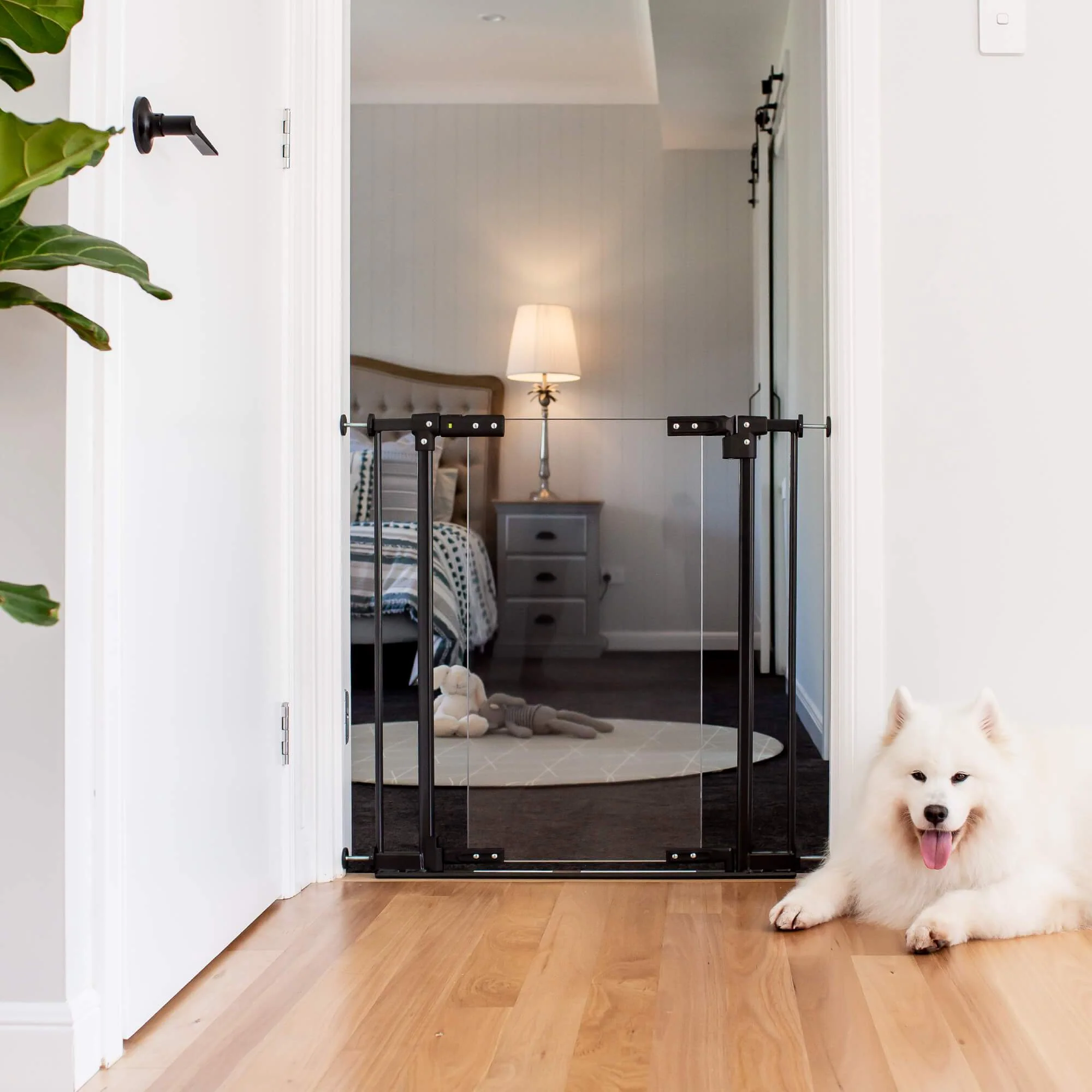 Clear Ultimate Safety Gate | 0.82m W x 0.76m H - Image 3